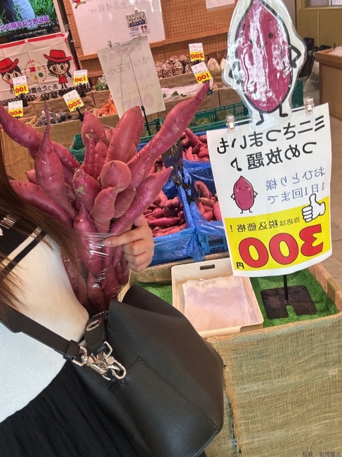ブログ画像