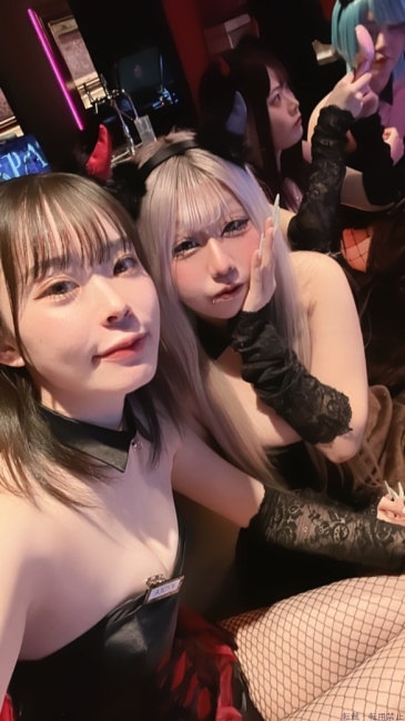 ブログ画像