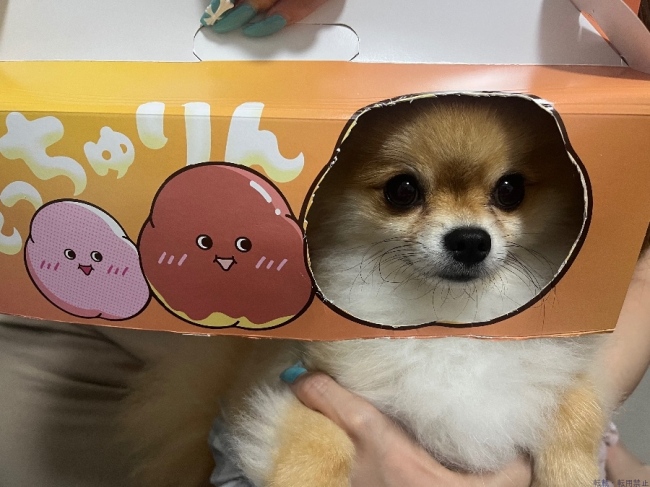 ブログ画像