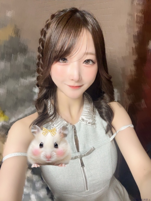 ブログ画像