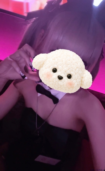 ブログ画像
