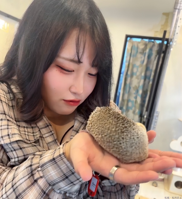 ブログ画像