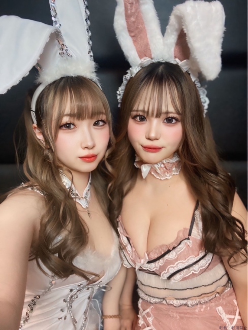 ブログ画像