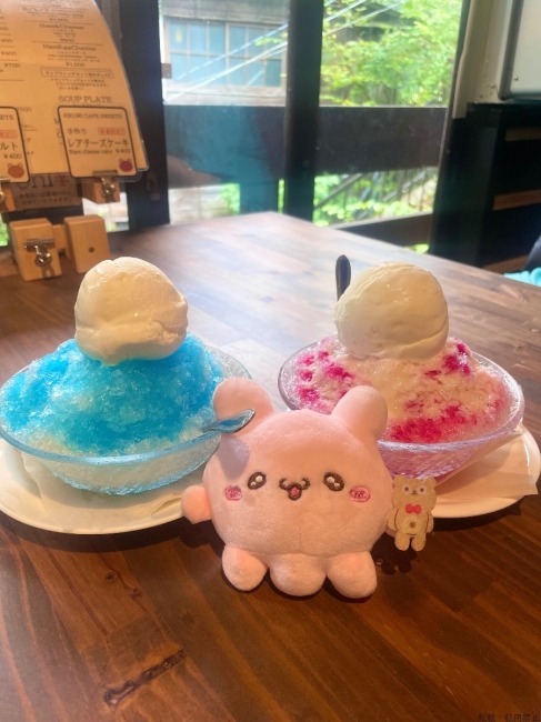 ブログ画像