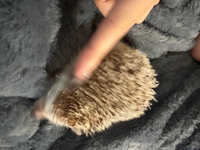 ブログ画像