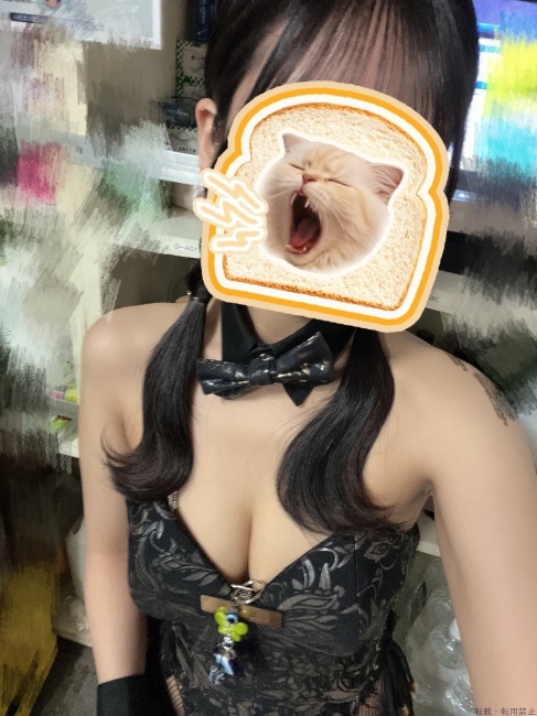 ブログ画像