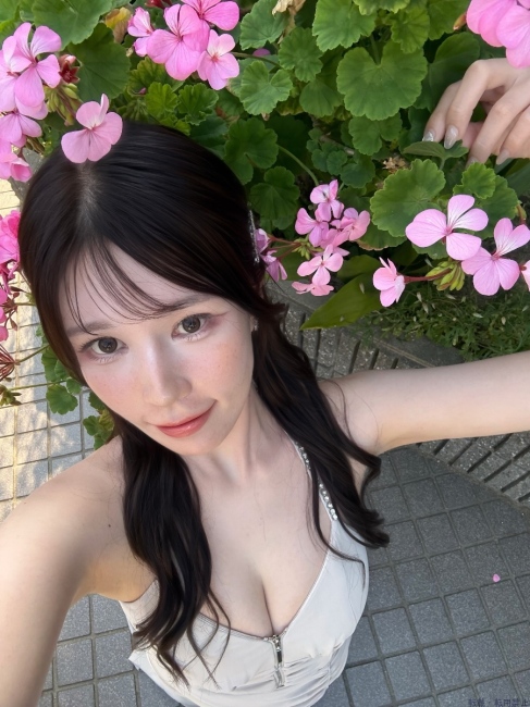 ブログ画像