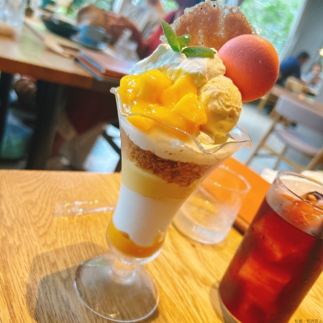 ブログ画像