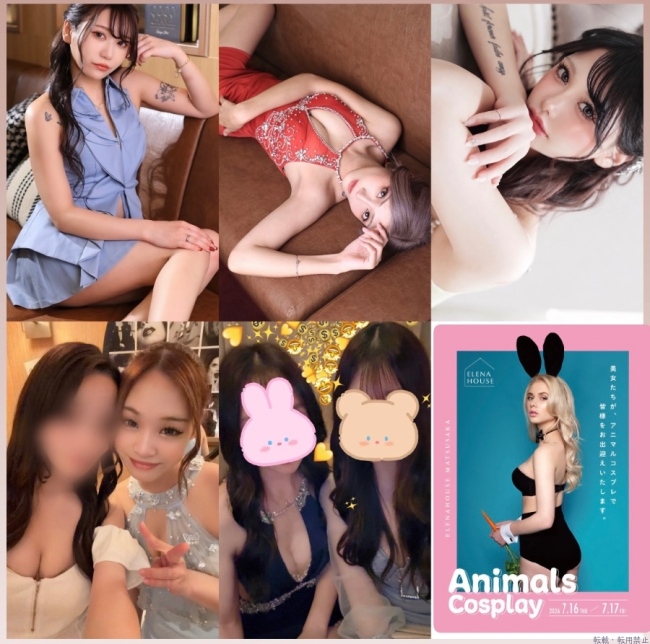 ブログ画像