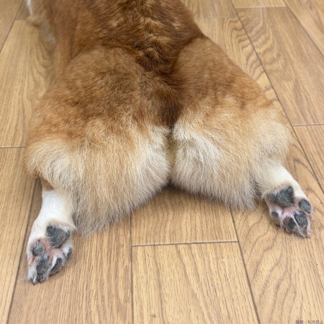 ブログ画像