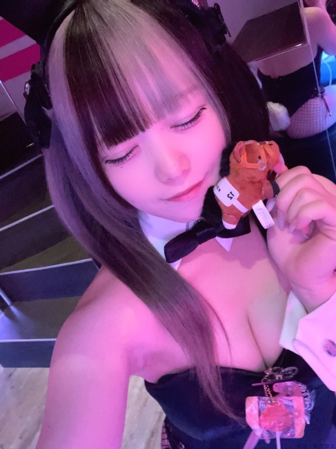 ブログ画像
