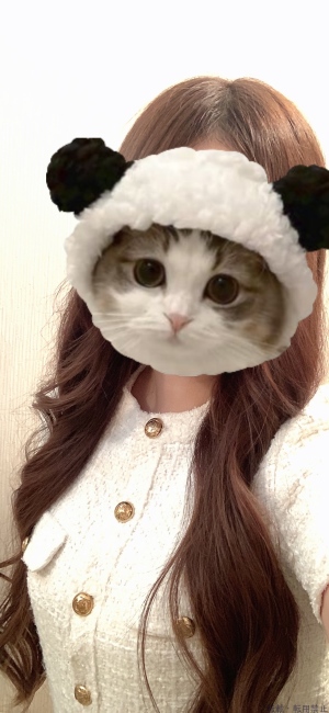 ブログ画像