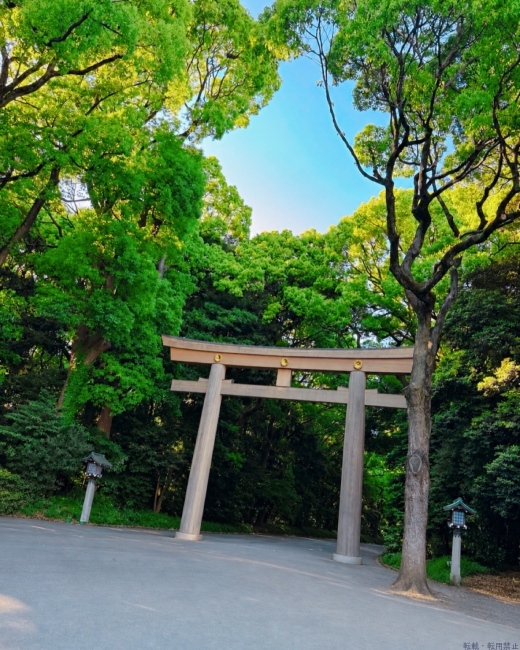 ブログ画像