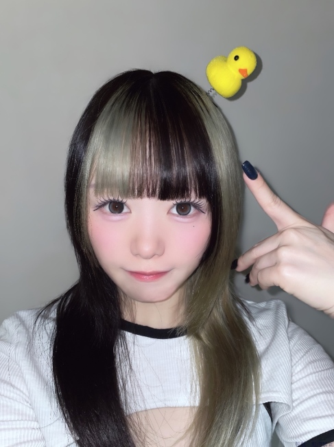 ブログ画像