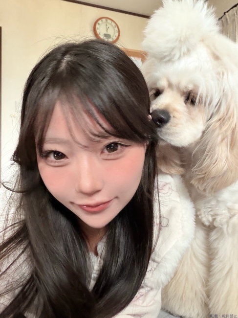 ブログ画像