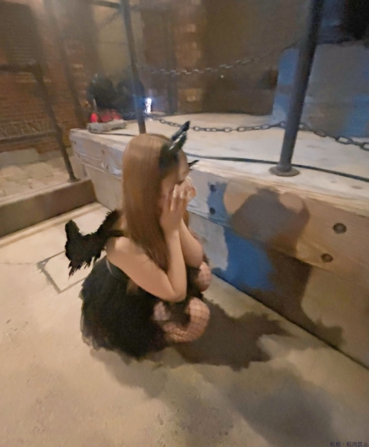 ブログ画像