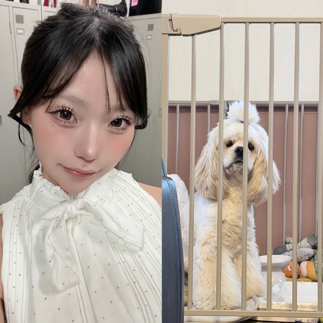 ブログ画像