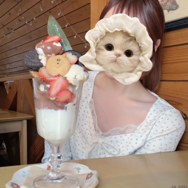 ブログ画像