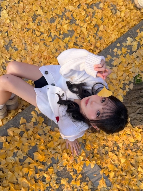 ブログ画像