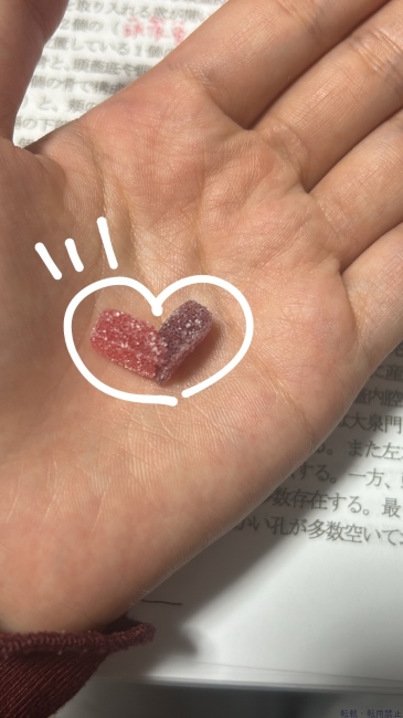 ブログ画像