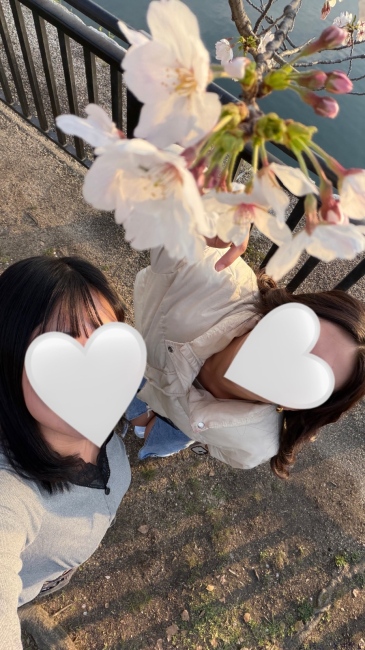 ブログ画像