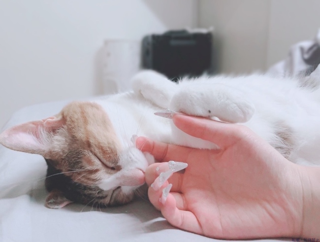 ブログ画像