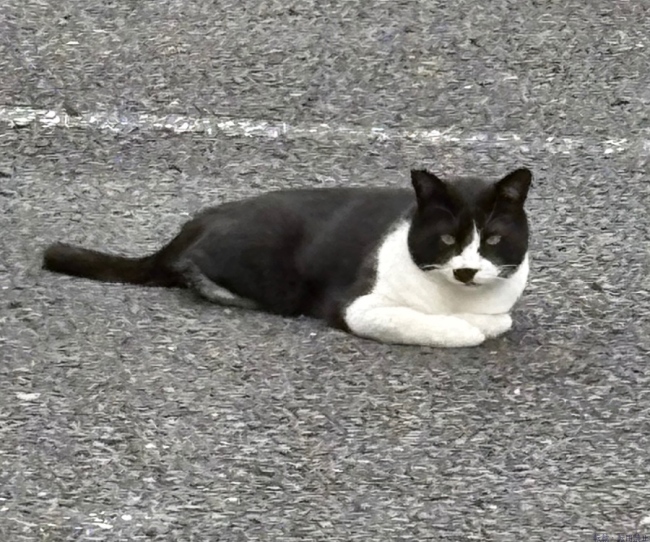 ブログ画像