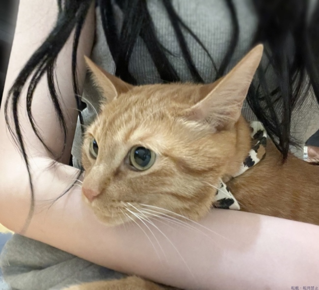 ブログ画像