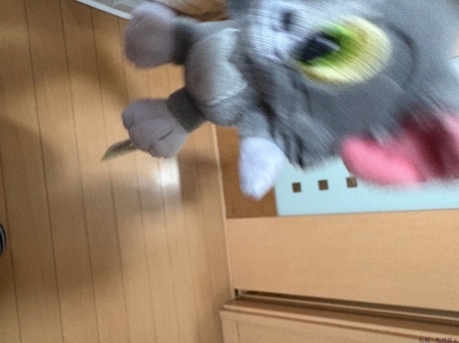 ブログ画像
