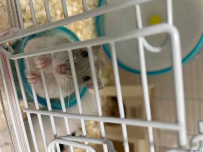 ブログ画像