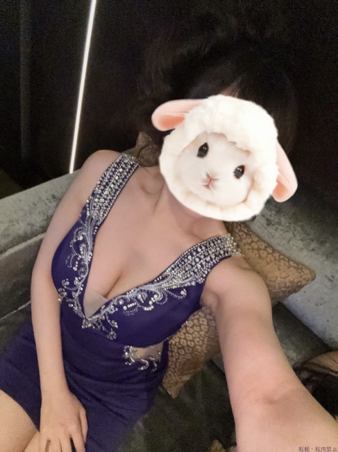 ブログ画像