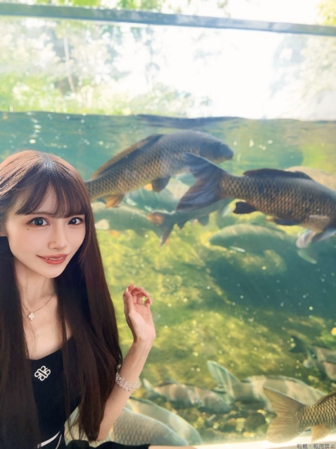 ブログ画像