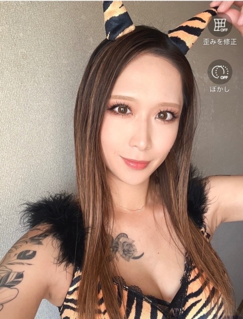 ブログ画像