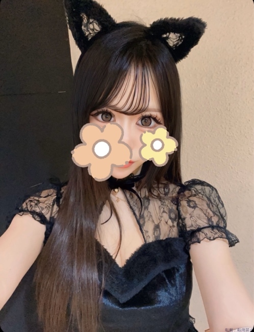 ブログ画像