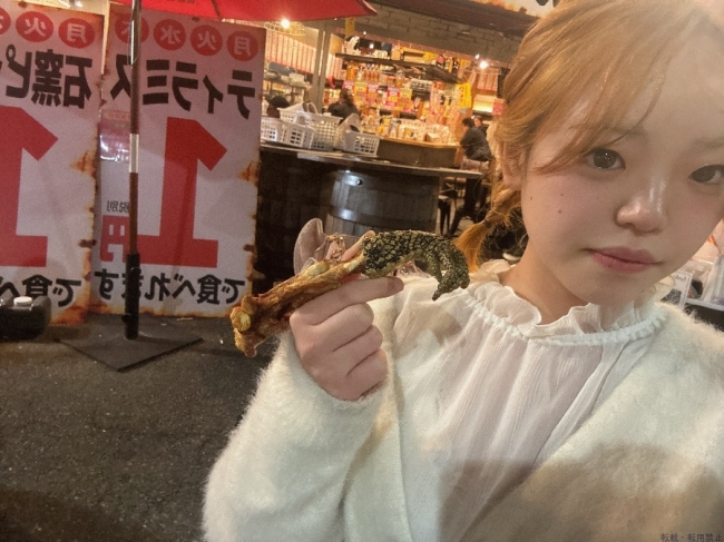ブログ画像