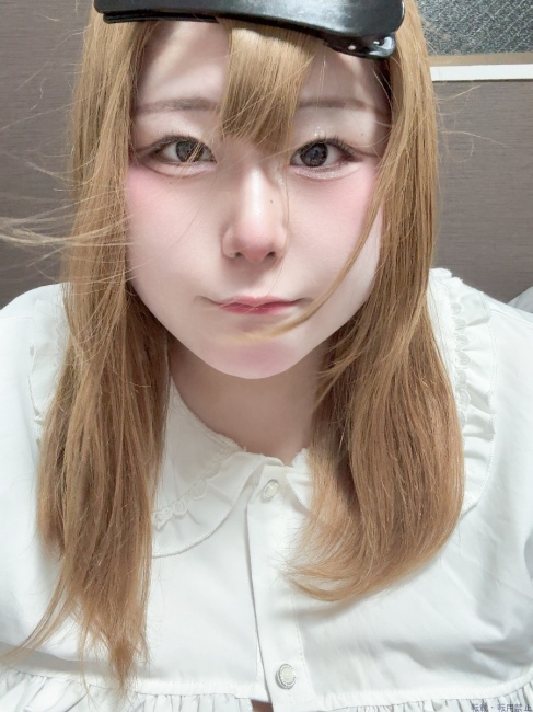 ブログ画像