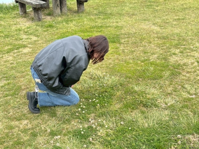 ブログ画像