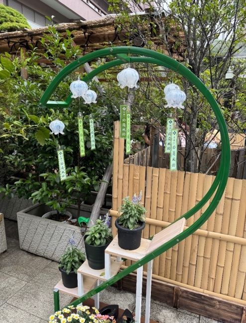 ブログ画像