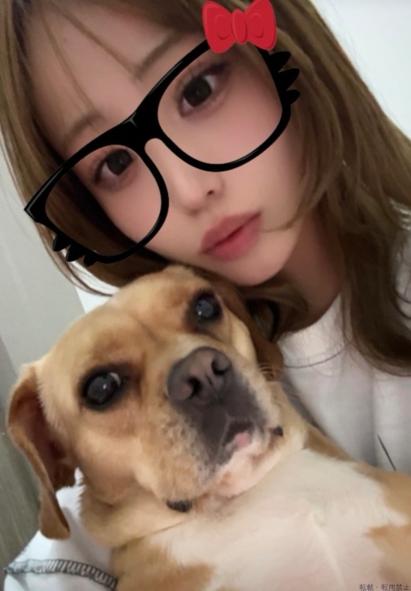 ブログ画像