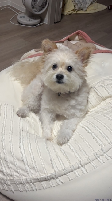 ブログ画像