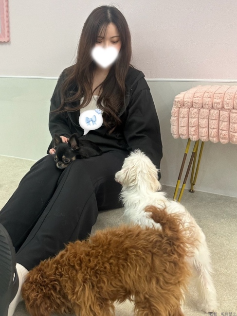 ブログ画像