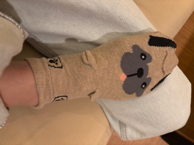 ブログ画像