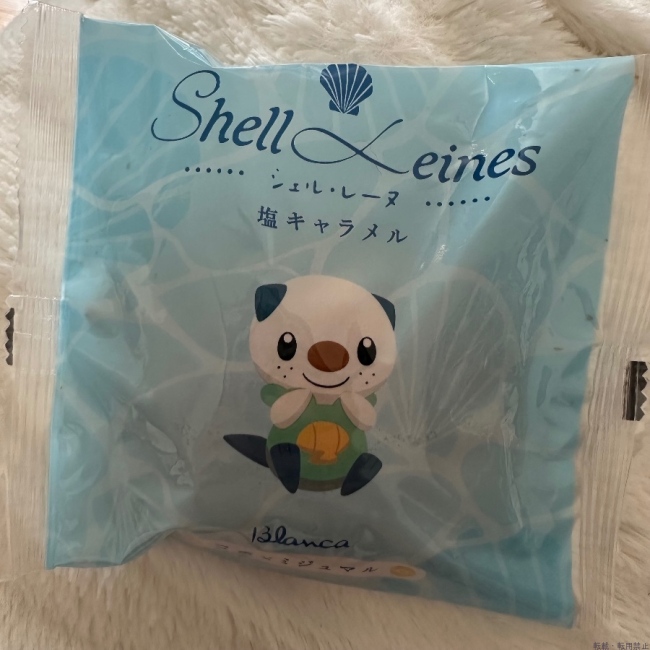 ブログ画像