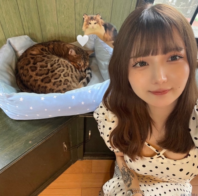 ブログ画像