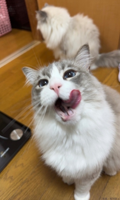 ブログ画像
