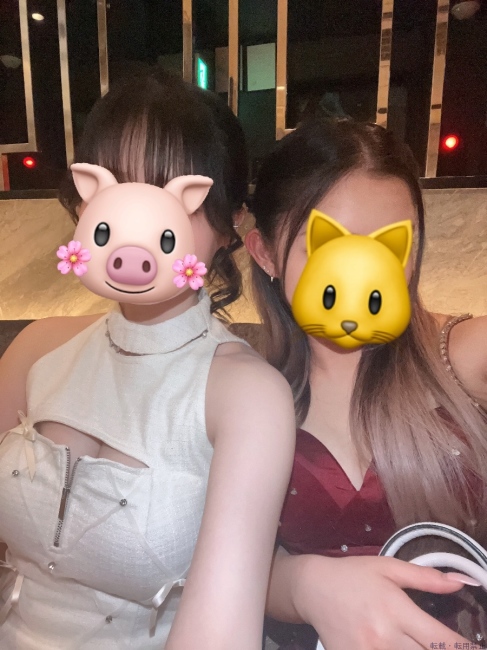 ブログ画像