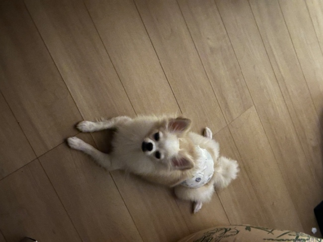 ブログ画像