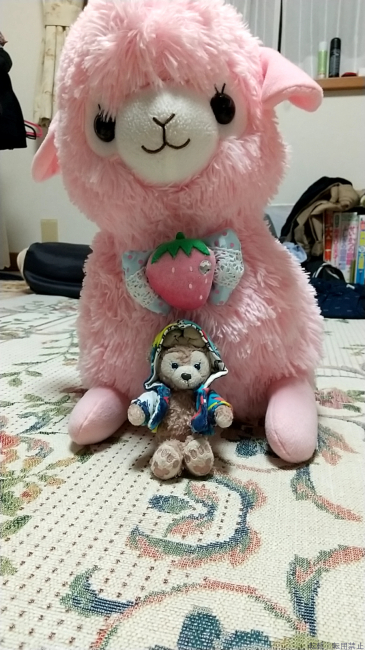 ブログ画像