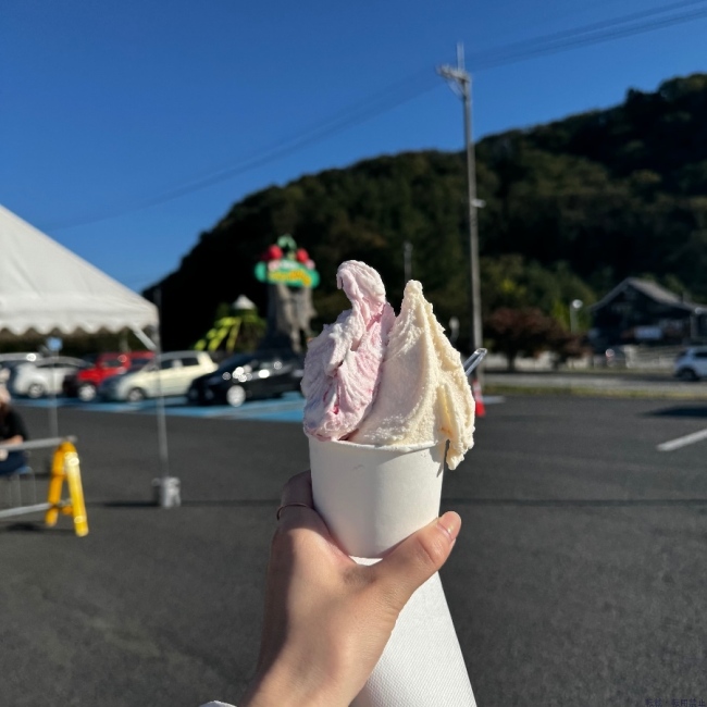ブログ画像