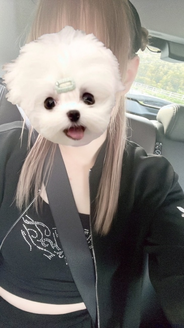 ブログ画像